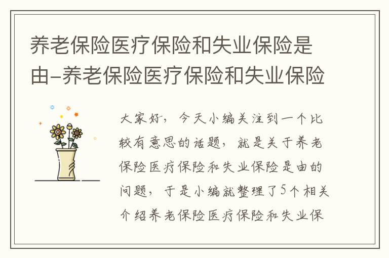 养老保险医疗保险和失业保险是由-养老保险医疗保险和失业保险是由谁承担