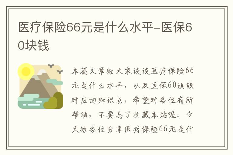 医疗保险66元是什么水平-医保60块钱