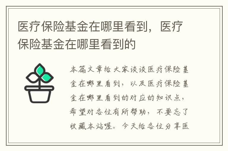 医疗保险基金在哪里看到，医疗保险基金在哪里看到的