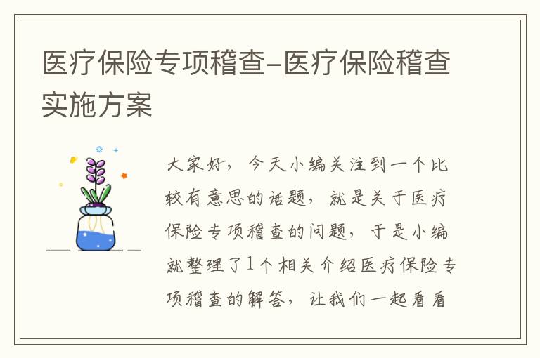 医疗保险专项稽查-医疗保险稽查实施方案