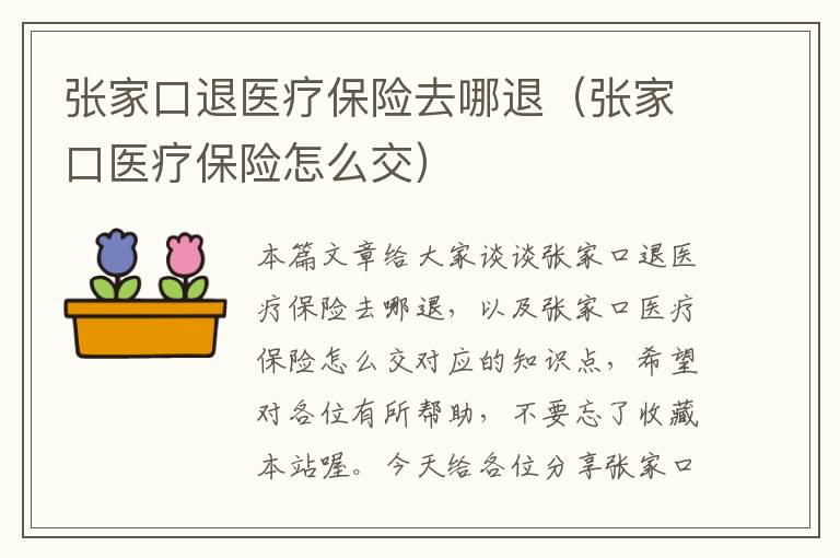 张家口退医疗保险去哪退（张家口医疗保险怎么交）