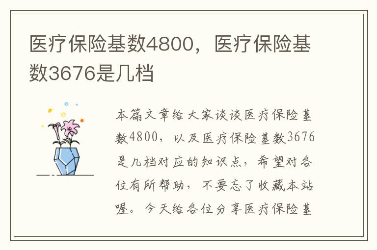 医疗保险基数4800，医疗保险基数3676是几档