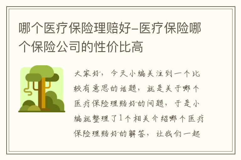 哪个医疗保险理赔好-医疗保险哪个保险公司的性价比高