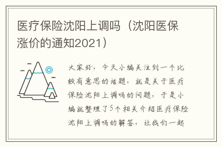 医疗保险沈阳上调吗（沈阳医保涨价的通知2021）