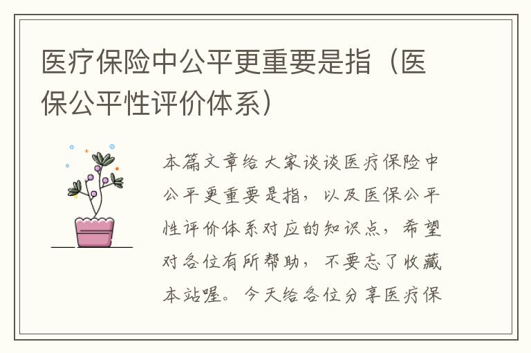 医疗保险中公平更重要是指（医保公平性评价体系）