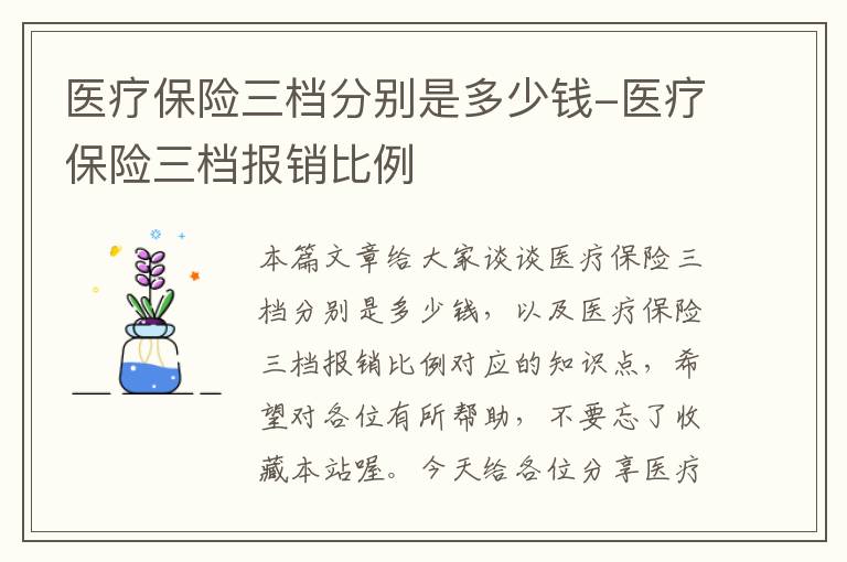 医疗保险三档分别是多少钱-医疗保险三档报销比例