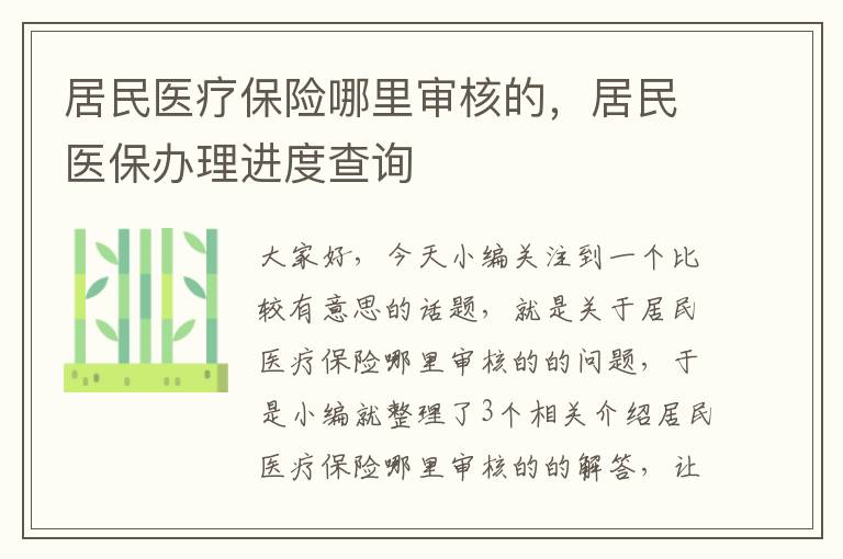 居民医疗保险哪里审核的，居民医保办理进度查询