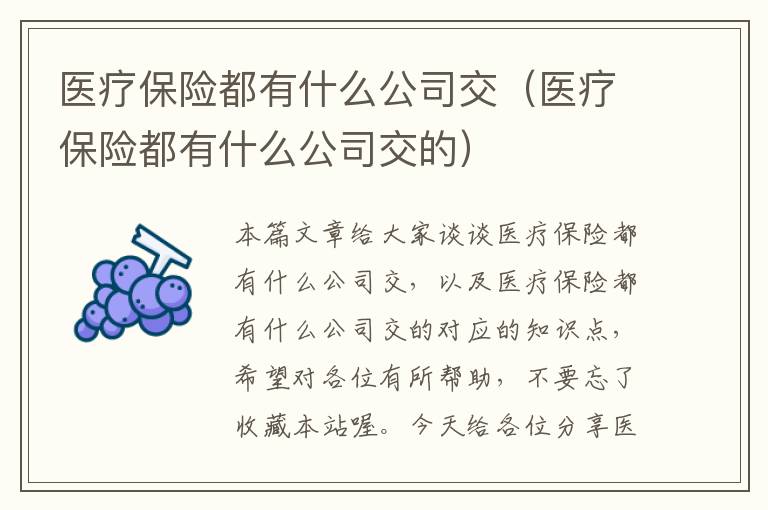 医疗保险都有什么公司交（医疗保险都有什么公司交的）