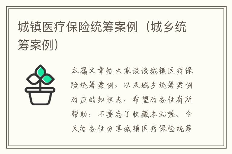 城镇医疗保险统筹案例（城乡统筹案例）