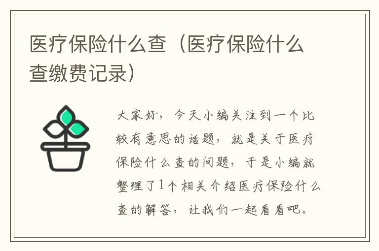 医疗保险什么查（医疗保险什么查缴费记录）