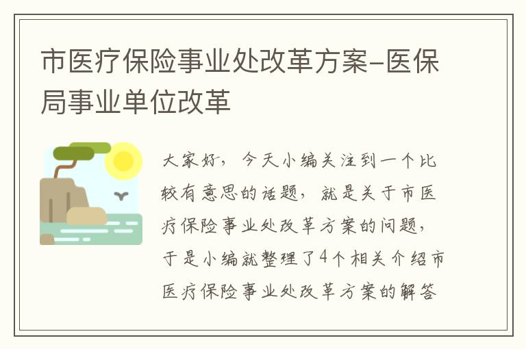 市医疗保险事业处改革方案-医保局事业单位改革