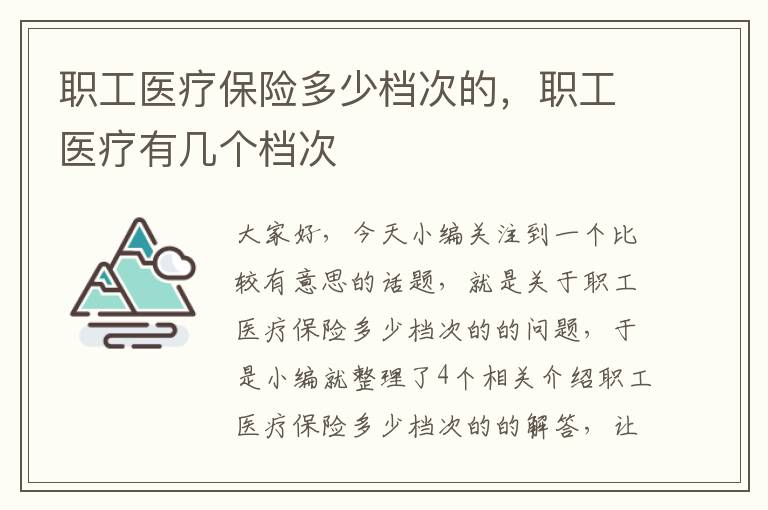 职工医疗保险多少档次的，职工医疗有几个档次