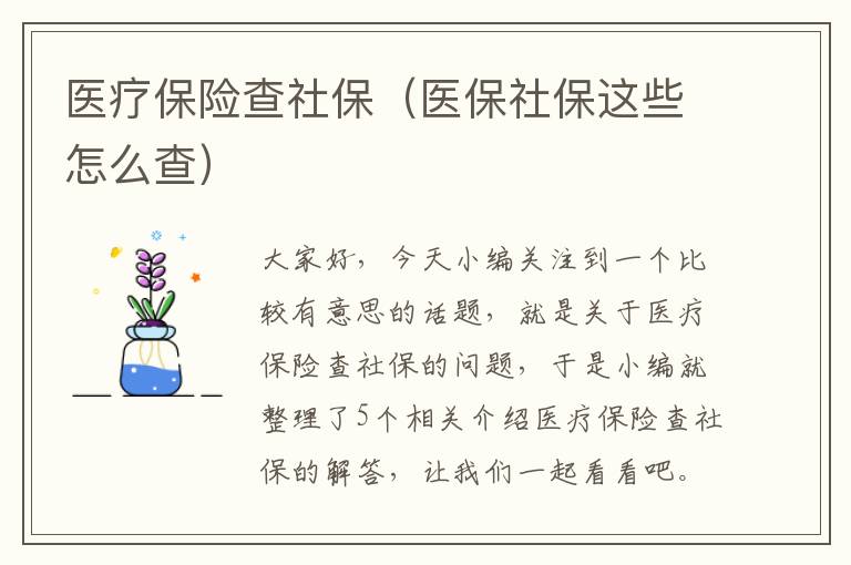 医疗保险查社保（医保社保这些怎么查）