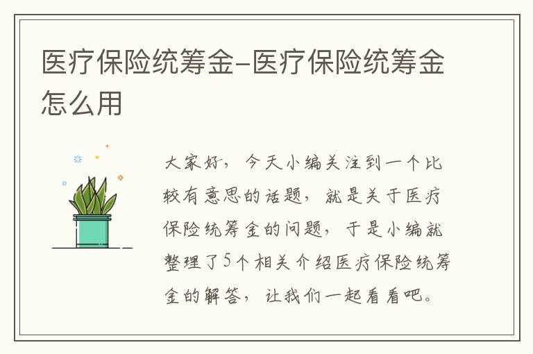 医疗保险统筹金-医疗保险统筹金怎么用