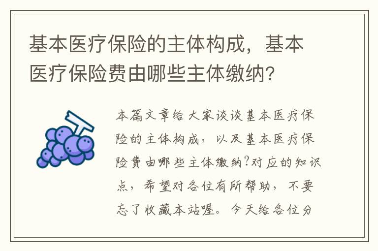 基本医疗保险的主体构成，基本医疗保险费由哪些主体缴纳?