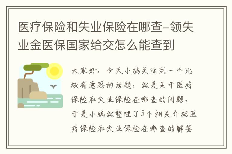 医疗保险和失业保险在哪查-领失业金医保国家给交怎么能查到