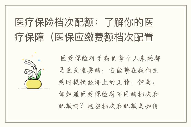 医疗保险档次配额：了解你的医疗保障（医保应缴费额档次配置异常是什么意思）