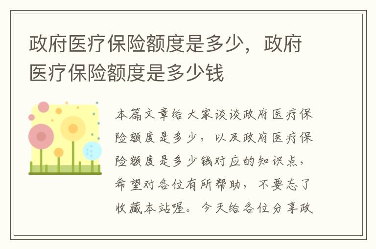 政府医疗保险额度是多少，政府医疗保险额度是多少钱