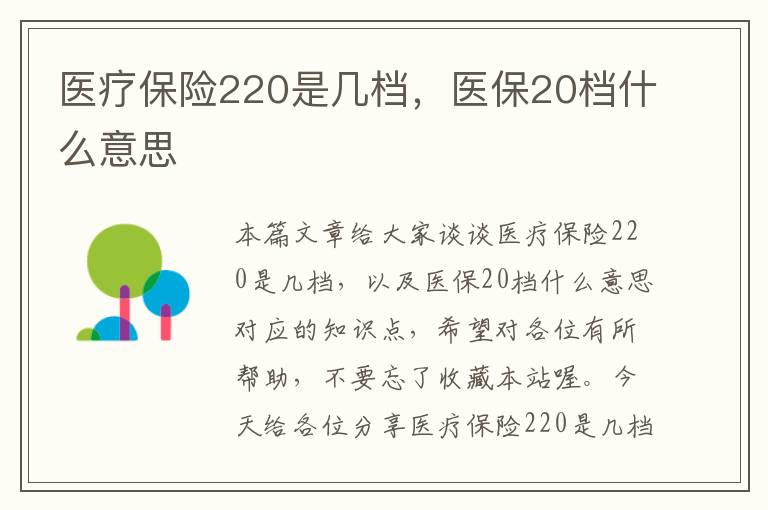 医疗保险220是几档，医保20档什么意思