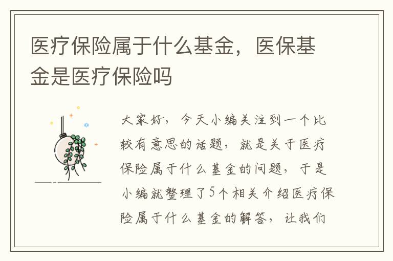 医疗保险属于什么基金，医保基金是医疗保险吗