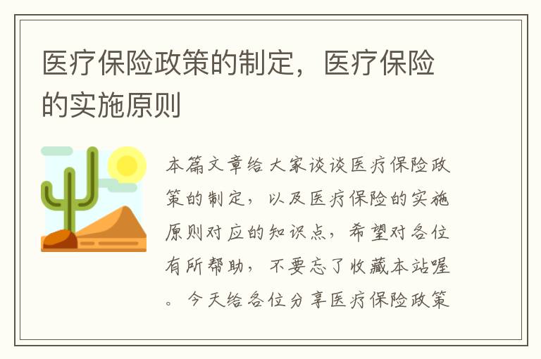 医疗保险政策的制定，医疗保险的实施原则