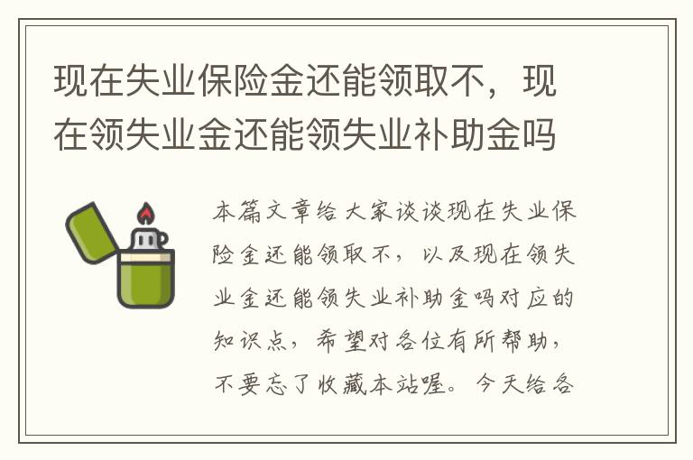 现在失业保险金还能领取不，现在领失业金还能领失业补助金吗