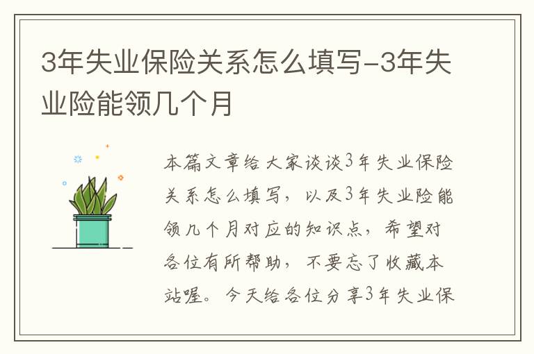 3年失业保险关系怎么填写-3年失业险能领几个月