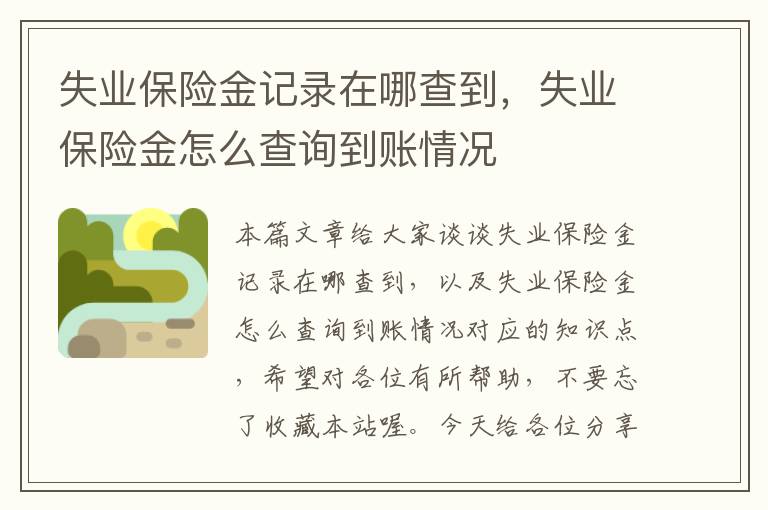 失业保险金记录在哪查到，失业保险金怎么查询到账情况