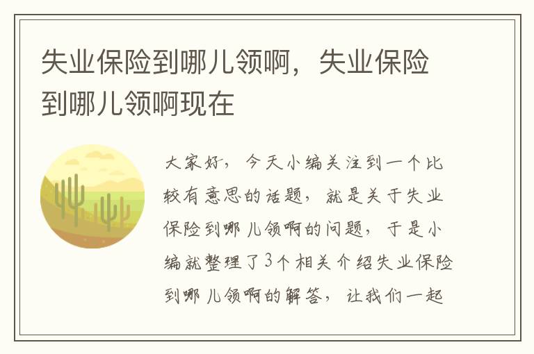 失业保险到哪儿领啊，失业保险到哪儿领啊现在