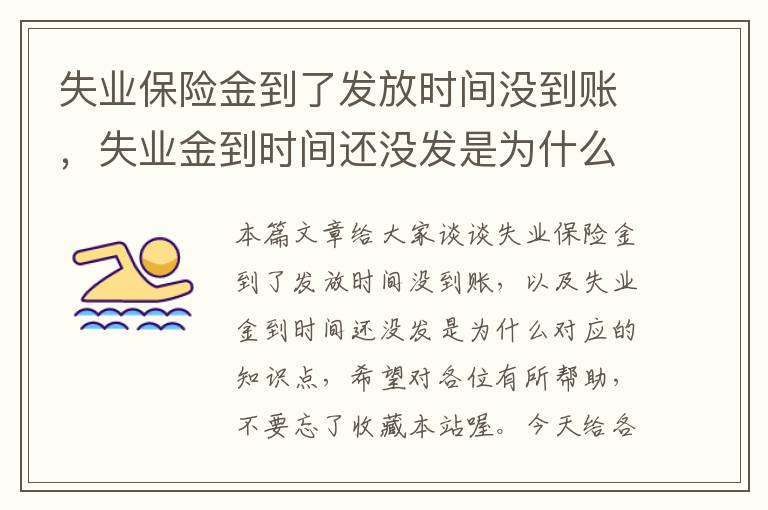 失业保险金到了发放时间没到账，失业金到时间还没发是为什么