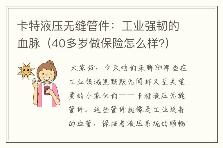 卡特液压无缝管件：工业强韧的血脉（40多岁做保险怎么样?）