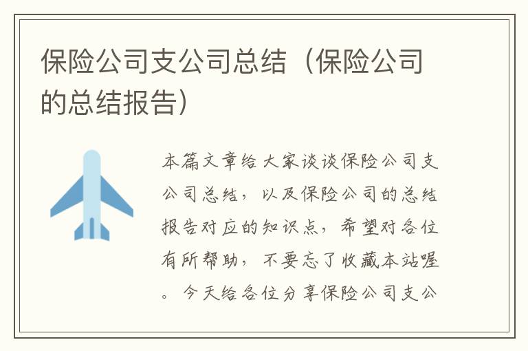 保险公司支公司总结（保险公司的总结报告）