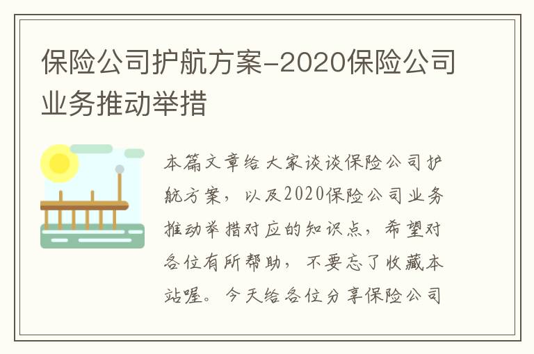 保险公司护航方案-2020保险公司业务推动举措