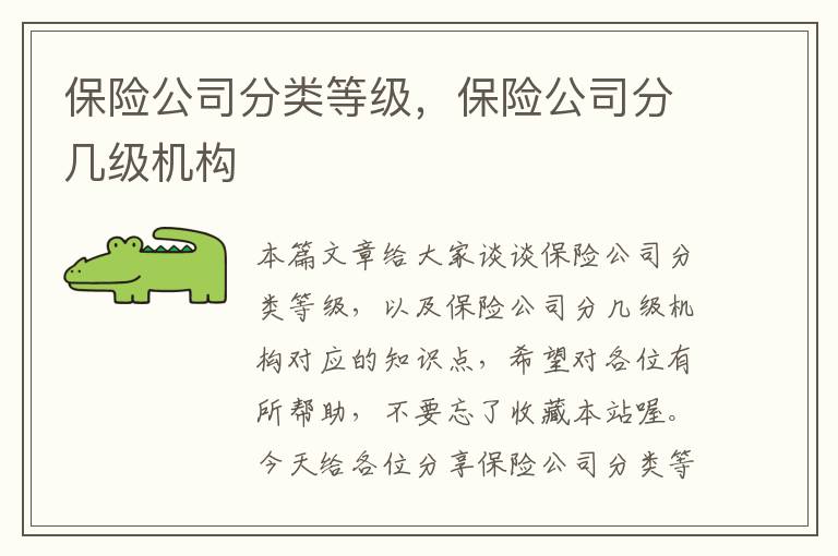 保险公司分类等级，保险公司分几级机构