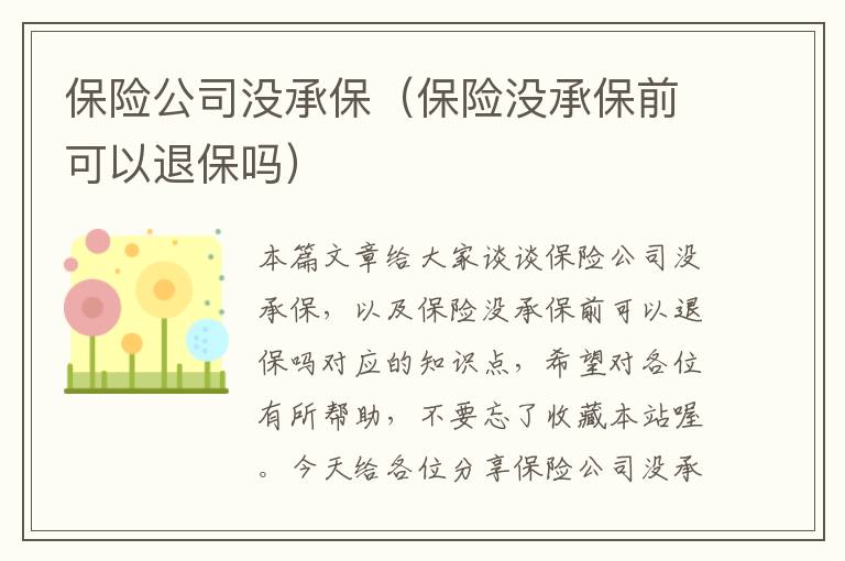 保险公司没承保（保险没承保前可以退保吗）