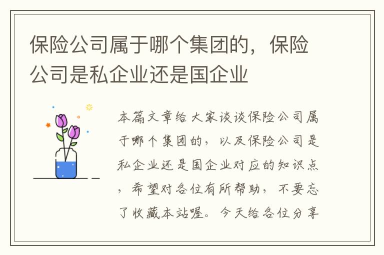 保险公司属于哪个集团的，保险公司是私企业还是国企业