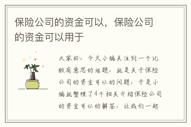 保险公司的资金可以，保险公司的资金可以用于