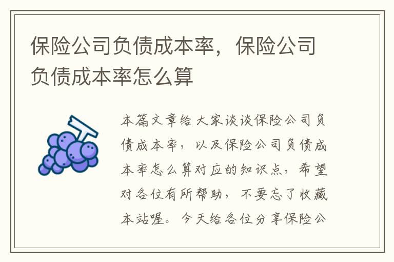 保险公司负债成本率，保险公司负债成本率怎么算