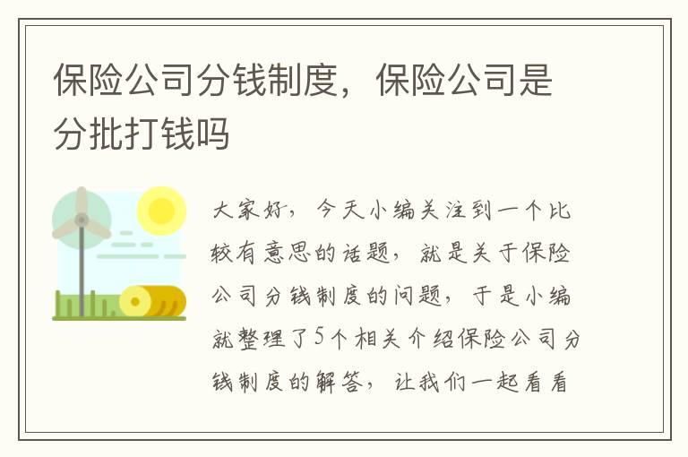 保险公司分钱制度，保险公司是分批打钱吗