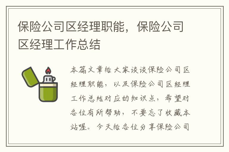 保险公司区经理职能，保险公司区经理工作总结