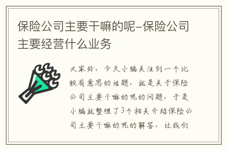 保险公司主要干嘛的呢-保险公司主要经营什么业务