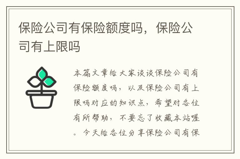 保险公司有保险额度吗，保险公司有上限吗