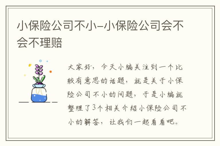 小保险公司不小-小保险公司会不会不理赔