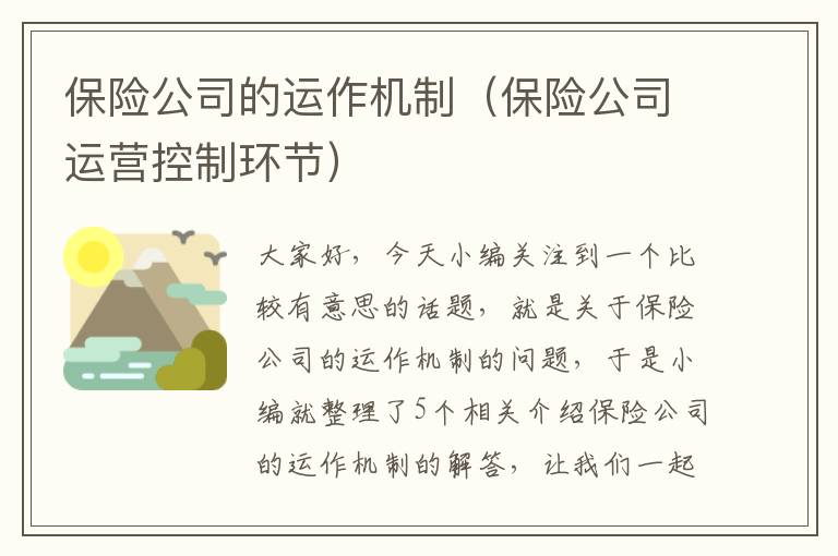 保险公司的运作机制（保险公司运营控制环节）