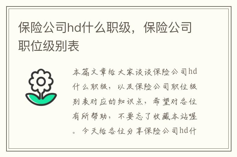 保险公司hd什么职级，保险公司职位级别表