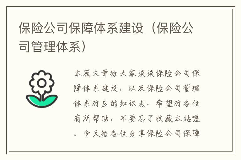 保险公司保障体系建设（保险公司管理体系）