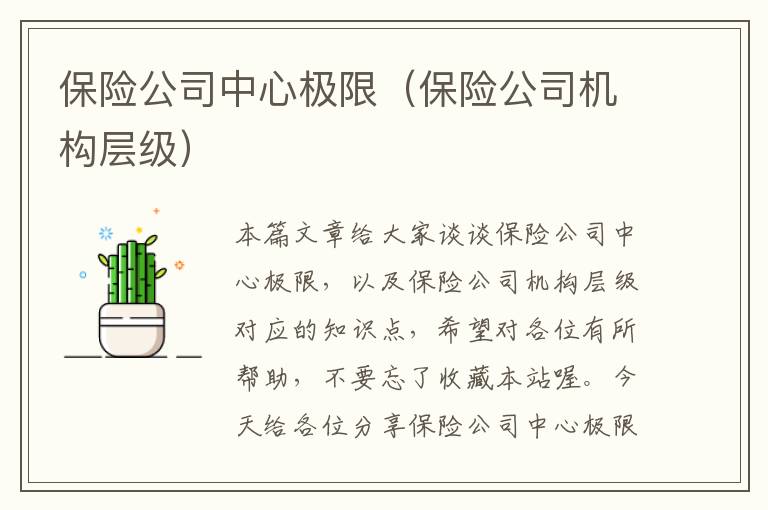 保险公司中心极限（保险公司机构层级）