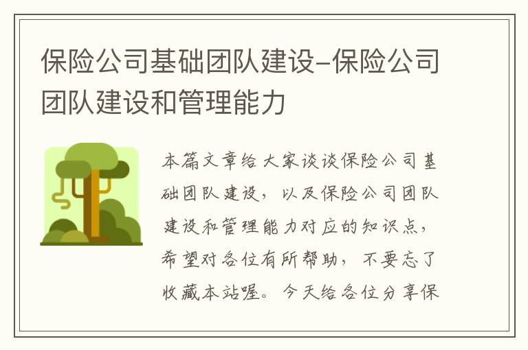 保险公司基础团队建设-保险公司团队建设和管理能力