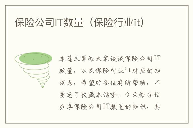 保险公司IT数量（保险行业it）