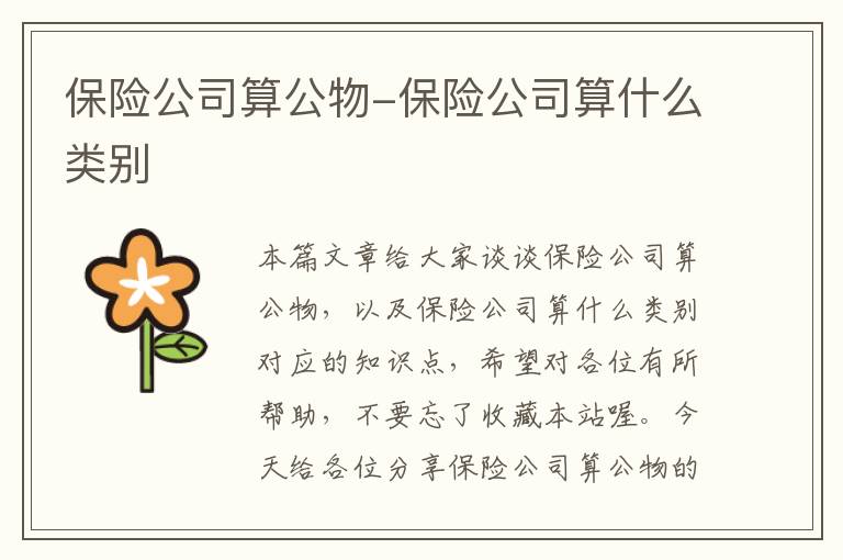 保险公司算公物-保险公司算什么类别